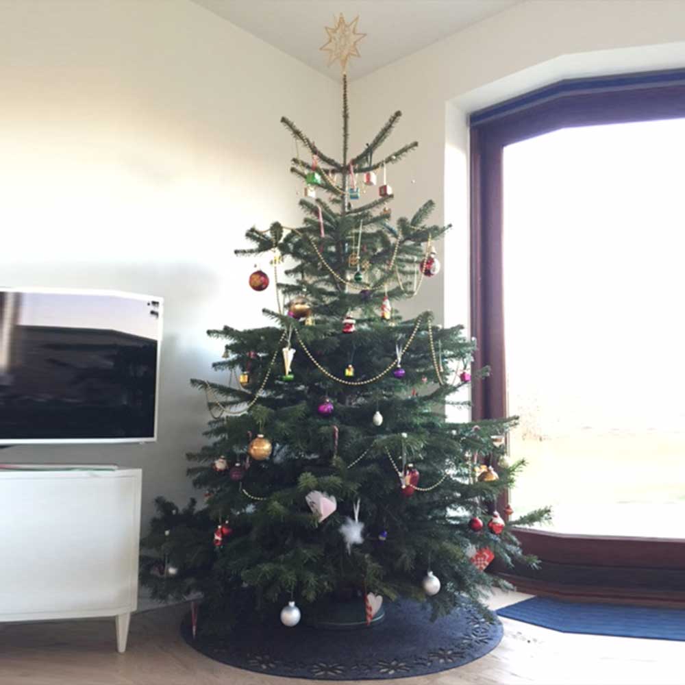 Pyntet juletræ fra TreeTime – Roskilde