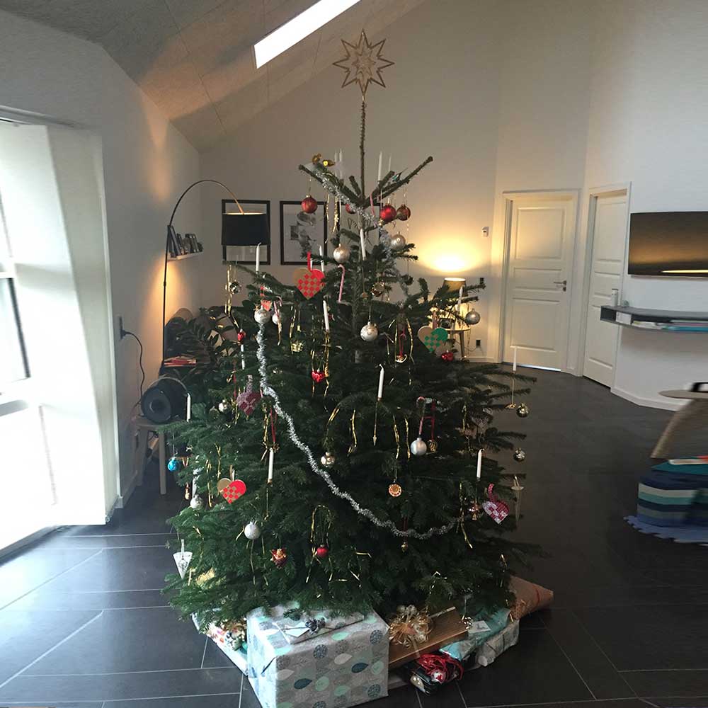 Pyntet juletræ fra TreeTime – Fredericia