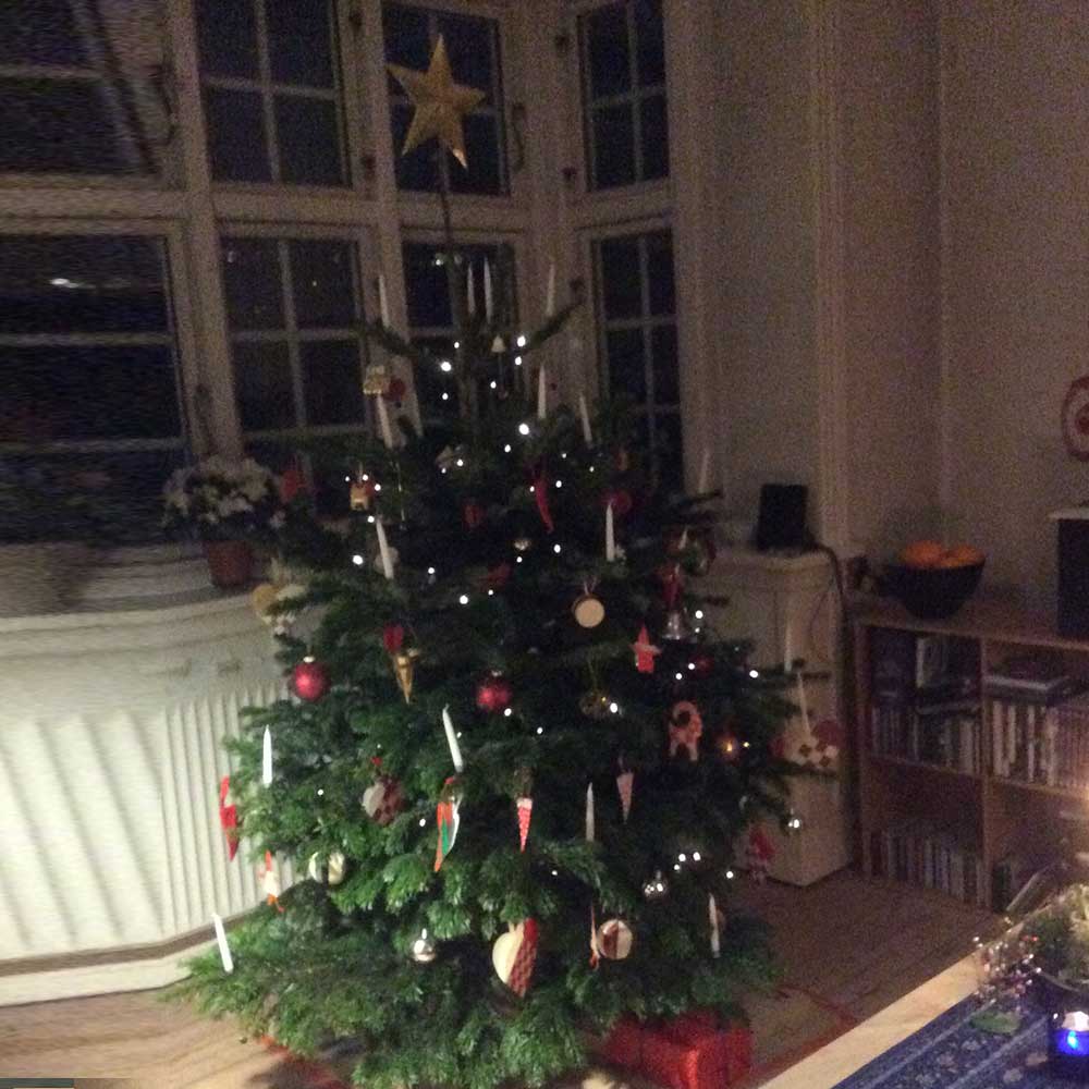 Pyntet juletræ fra TreeTime – København NV