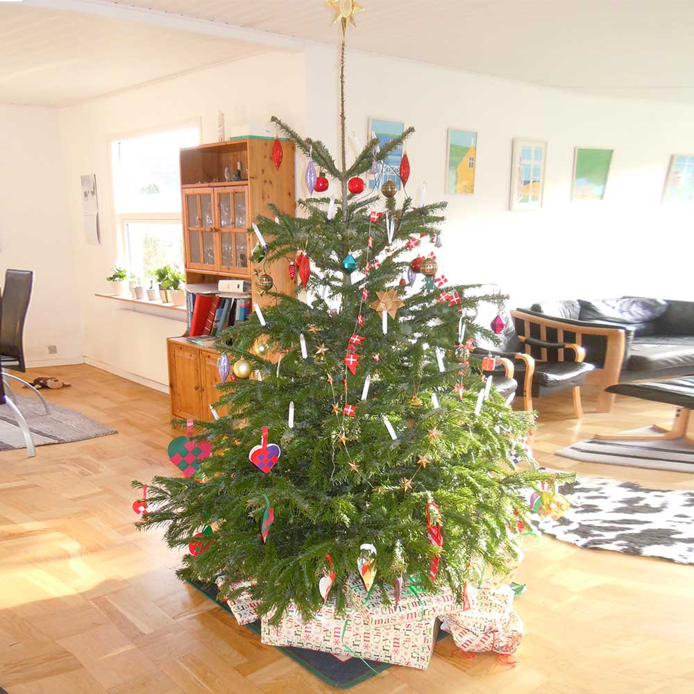 Pyntet juletræ fra TreeTime – Sønderborg