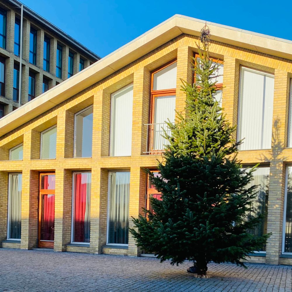 Pyntet juletræ fra TreeTime