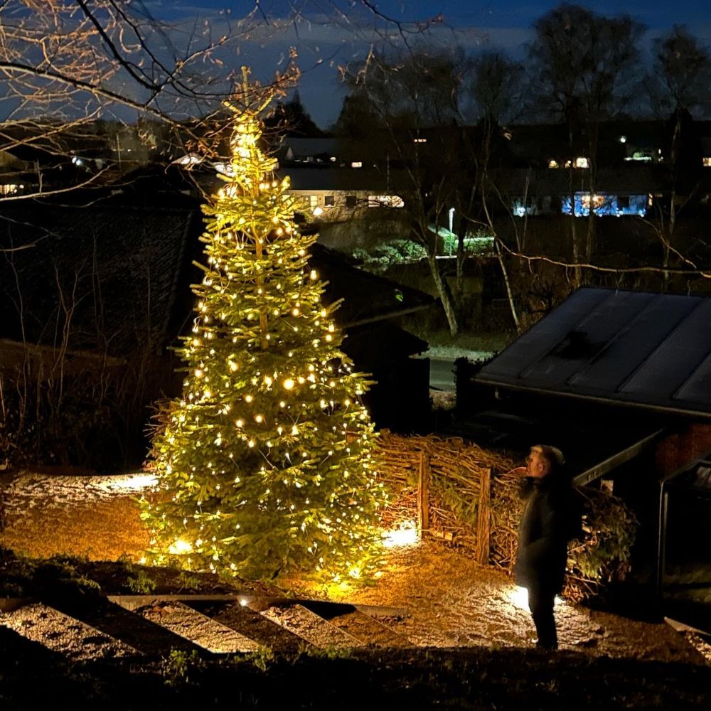 Pyntet juletræ fra TreeTime