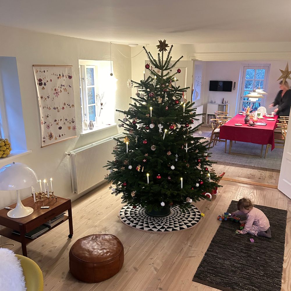 Pyntet juletræ fra TreeTime
