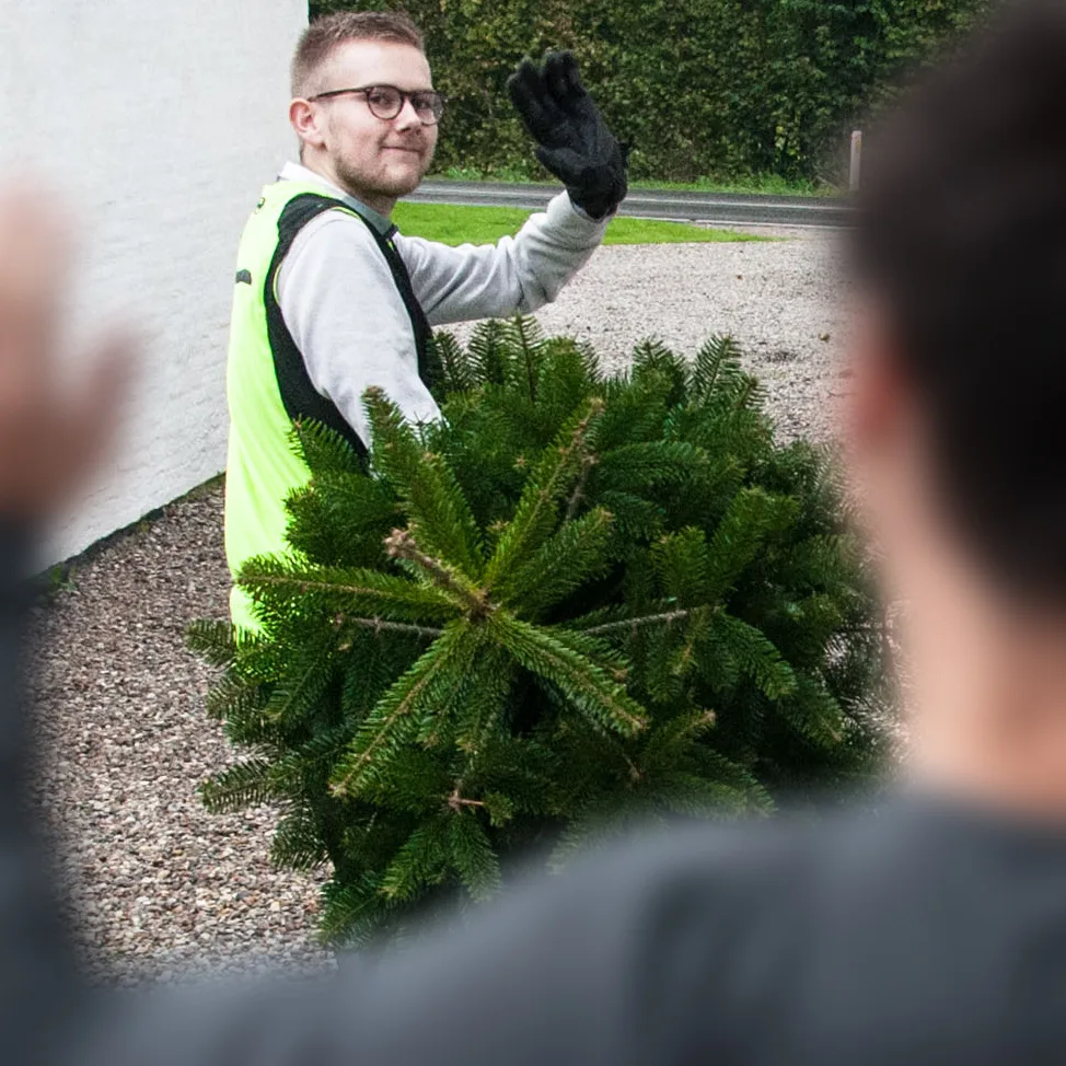 TreeTime henter det brugte juletræ