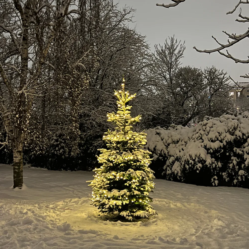 Pyntet juletræ fra TreeTime – Aarhus
