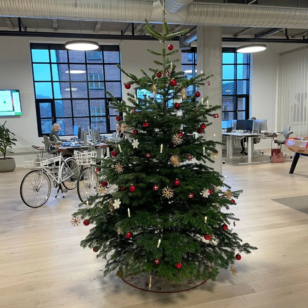 Pyntet juletræ fra TreeTime